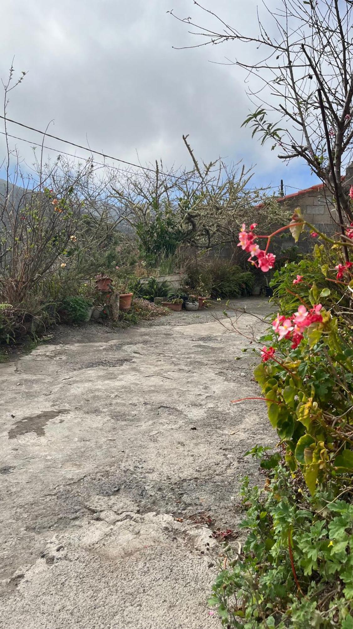 Shiva Kali Temple Vandrarhem Agulo Exteriör bild